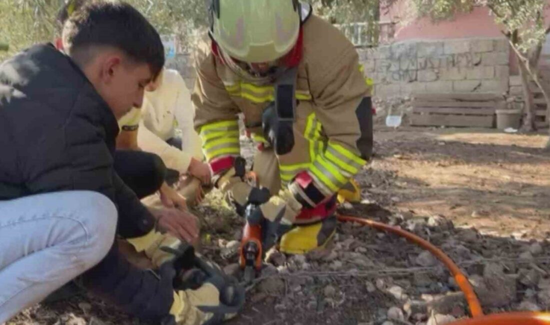 Hatay’da patisi zincire sıkışan köpeğin yardımına itfaiye yetişti. Kırıkhan ilçesi