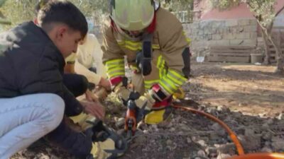 Hatay’da patisi zincire sıkışan köpeğin yardımına itfaiye yetişti. Kırıkhan ilçesi