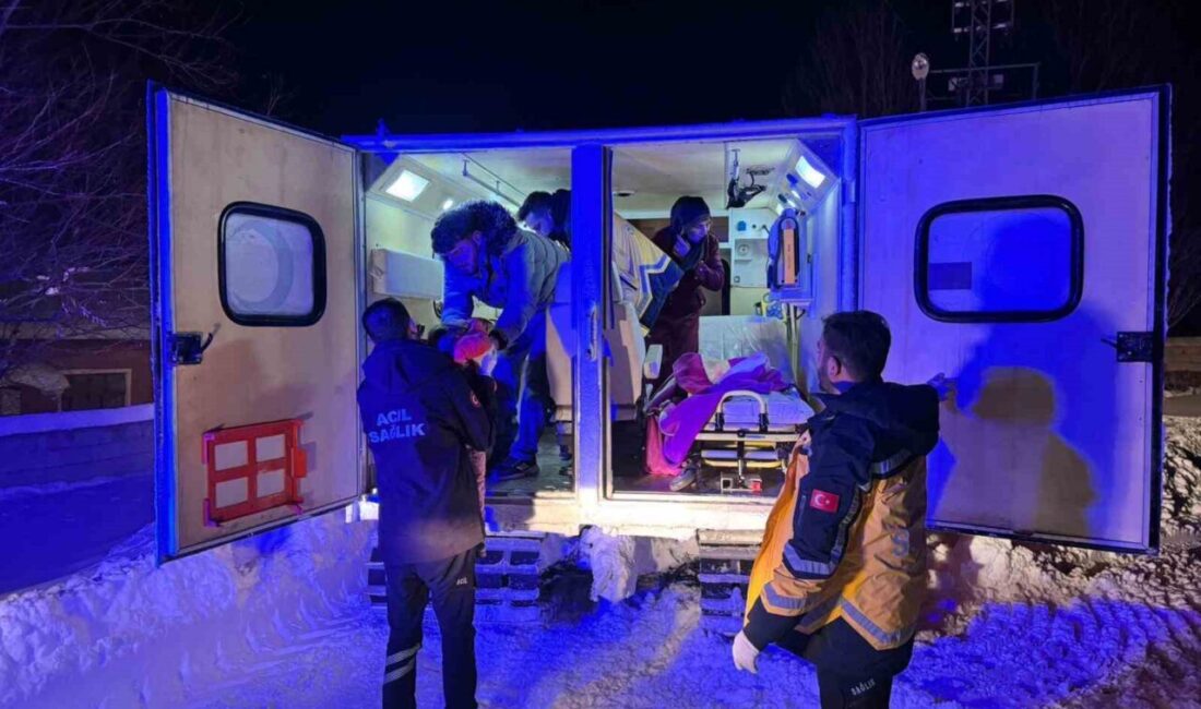 Ağrı’nın Patnos ilçesinde üç gündür aralıksız devam eden yoğun kar