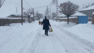 Ağrı’nın Patnos ilçesinde hem ilçe merkezinde hem de yüksek rakımlı