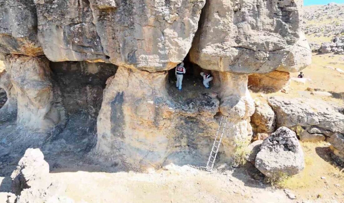 Diyarbakır’ın Çermik ilçesi kırsal Petekkaya Mahallesi’nde 9 Ağustos 2015’te bölgede