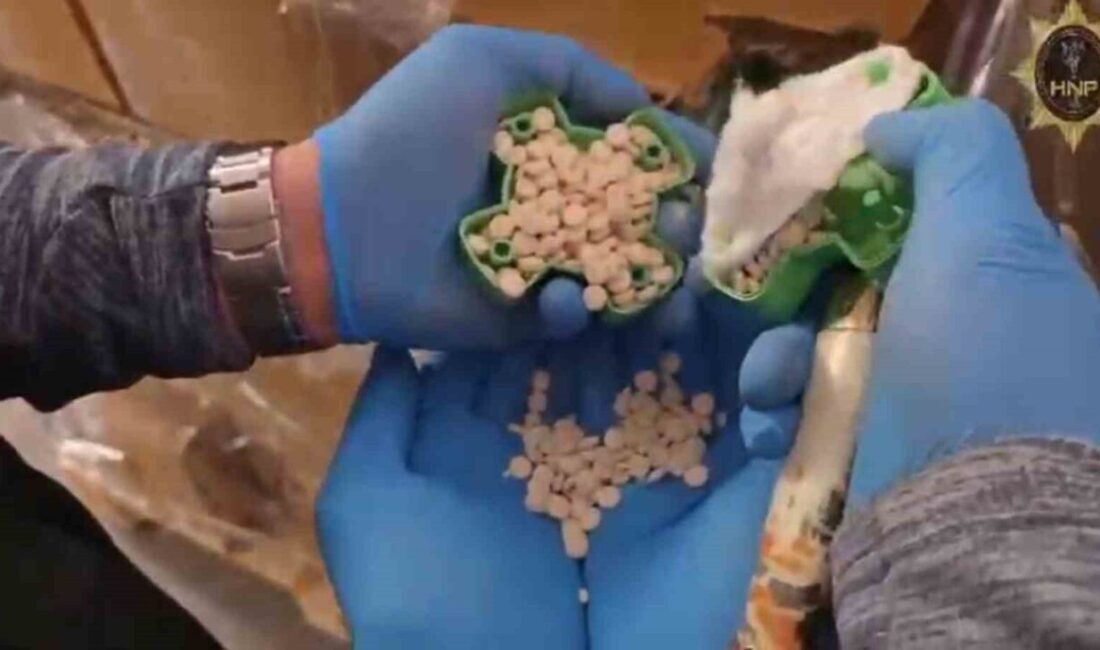 HATAY (İHA) – Hatay’da polis ekipleri tarafından gerçekleştirilen operasyonda plastik