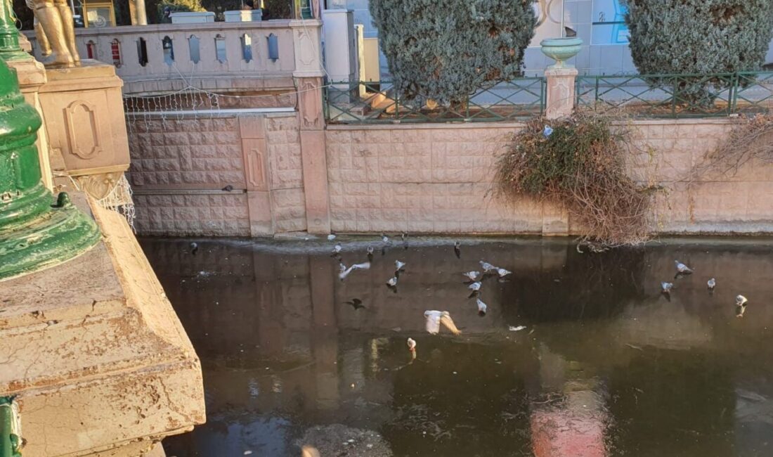 Eskişehir’de etkili olan dondurucu soğuklar sebebi ile yüzeyinin büyük bölümü