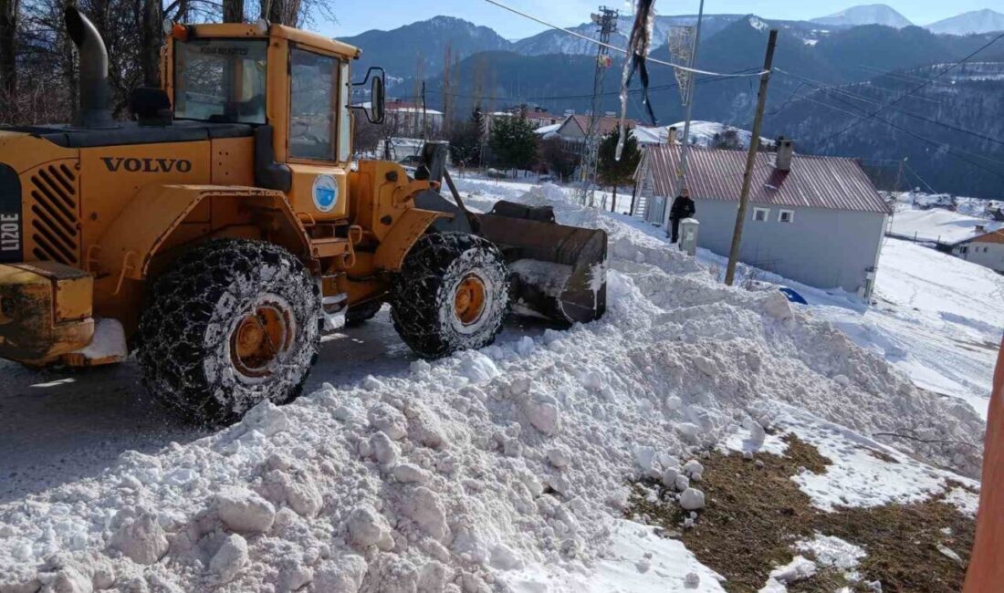 Ardahan’ın Posof ilçesinde karla mücadele çalışmaları sürdürülüyor. Yılbaşı ile birlikte