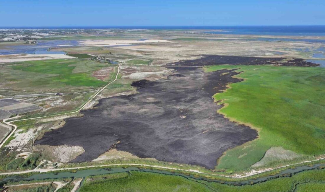 Çevre uzmanı Prof. Dr. Halil Kumbur, 2026 yılına girerken Türkiye