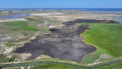 Çevre uzmanı Prof. Dr. Halil Kumbur, 2026 yılına girerken Türkiye