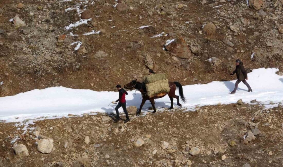 Yaban Hayvanları Koruma ve Rehabilitasyon Merkezi Müdürü Prof. Dr. Lokman