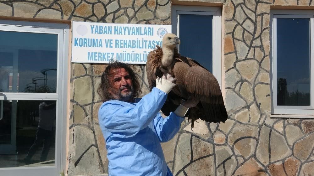 Van Yüzüncü Yıl Üniversitesi (YYÜ) Yaban Hayvanları Koruma ve Rehabilitasyon