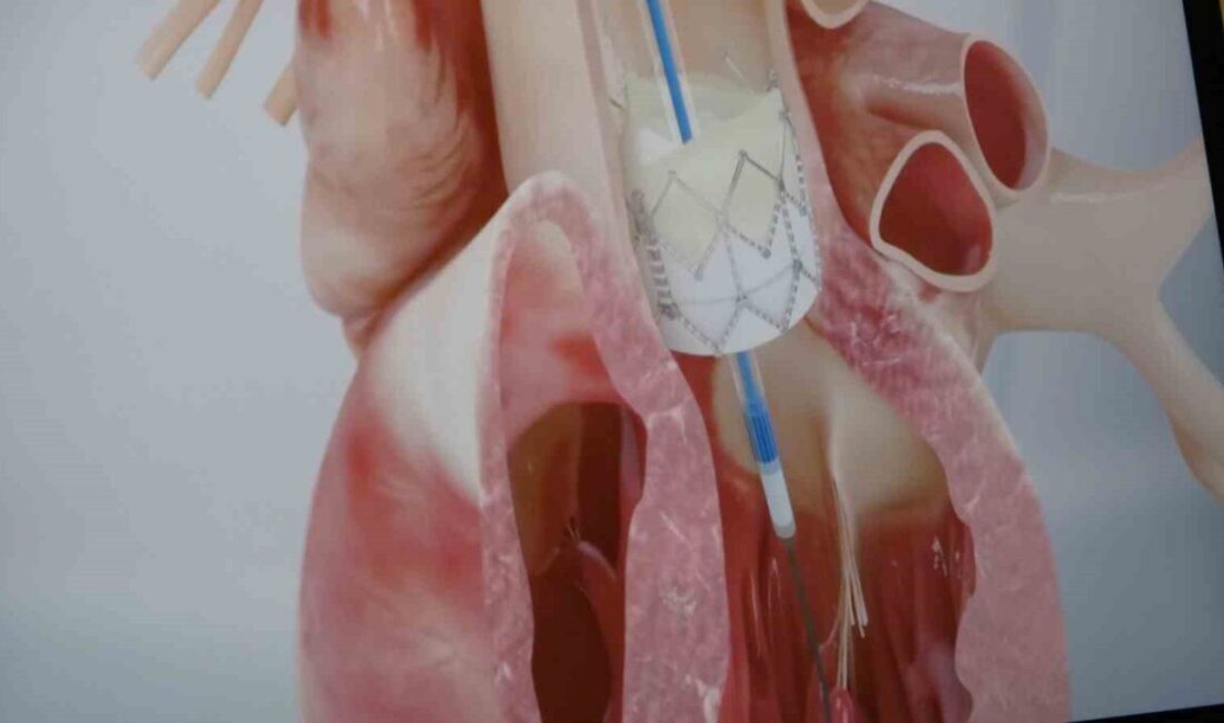 İnönü Üniversitesi Tıp Fakültesi Kardiyoloji Ana Bilim Dalı Öğretim Üyesi