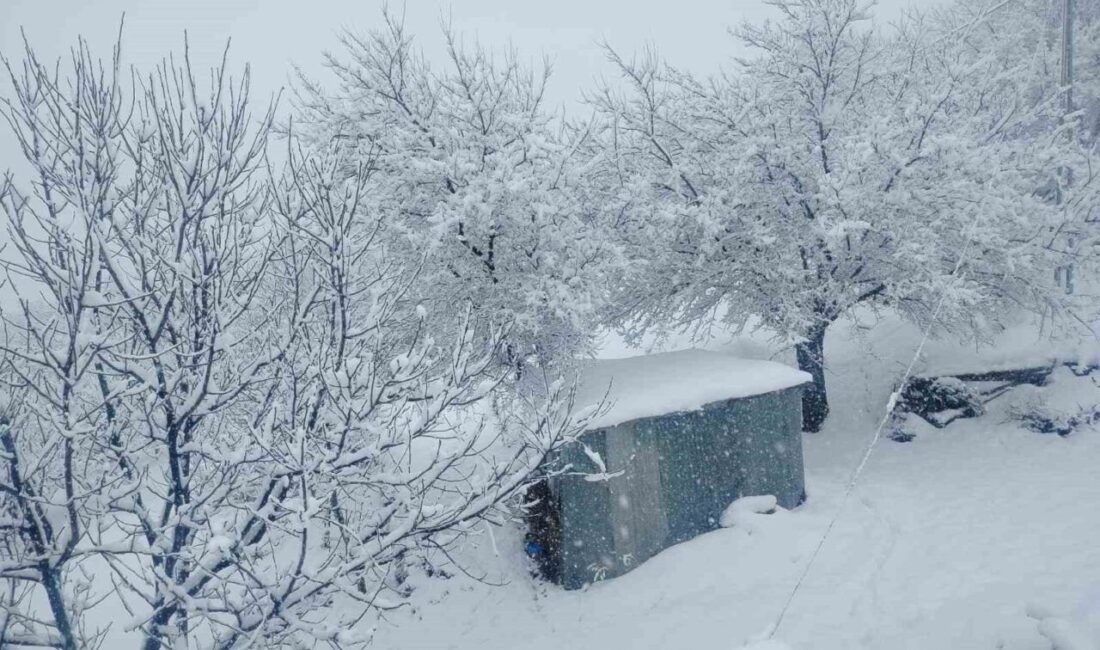 Malatya’da soğuk hava dalgası etkisini sürdürüyor. Kent merkezinde sağanak yağış