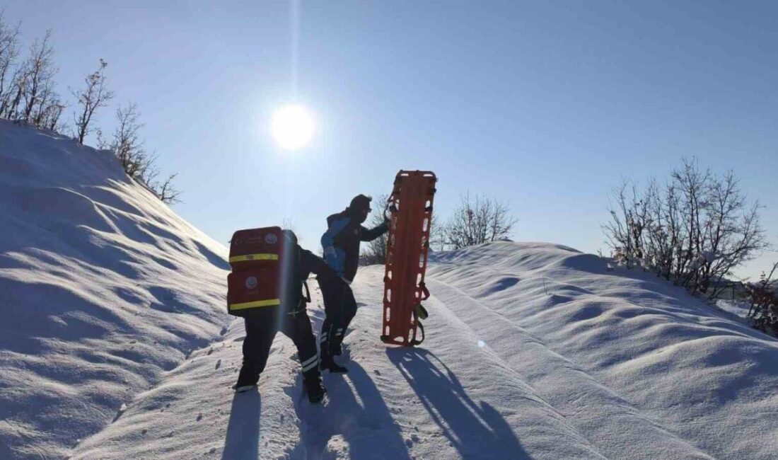 Diyarbakır’da UMKE ekibi, jandarmayla birlikte 1,5 kilometrelik zorlu yolu yürüyerek