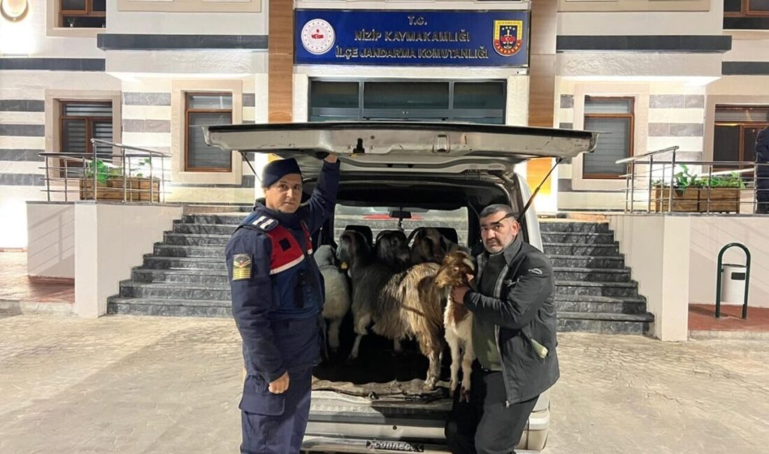 Gaziantep’te sahte para ile hayvan alarak besici vatandaşı dolandıran 3