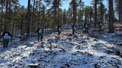 Saimbeyli Orman İşletme Müdürlüğü, “Karaçam Doğal Gençleştirme Programı” kapsamında, ilçede
