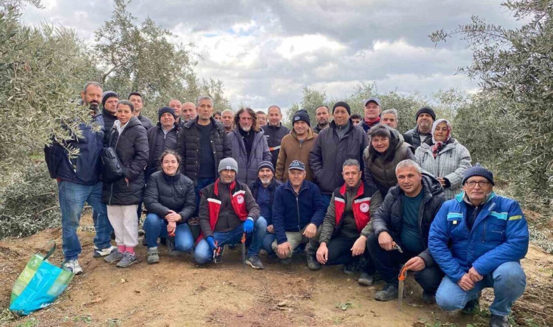 Manisa’nın Salihli ilçesinde Tarım ve Orman Müdürlüğü ile Salihli Halk