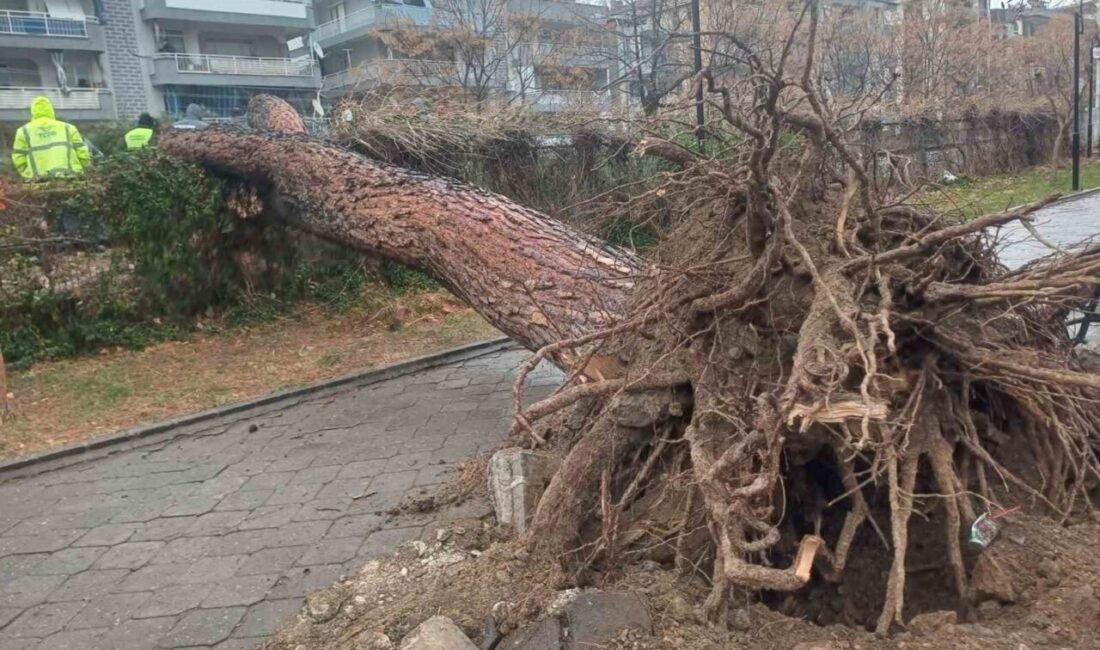 Manisa’nın Salihli ilçesi adeta fırtına felaketi yaşarken etkili olan fırtına