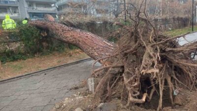 Manisa’nın Salihli ilçesi adeta fırtına felaketi yaşarken etkili olan fırtına