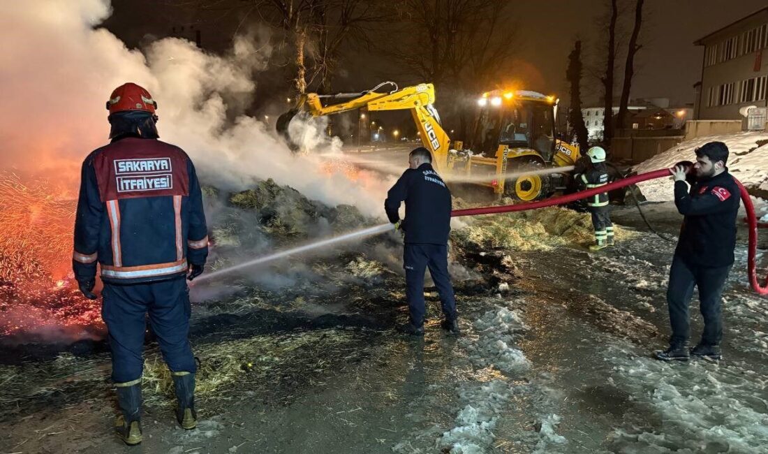 Sakarya’nın Hendek ilçesinde kasasındaki samanlar alev alev yanan kamyon şoförü