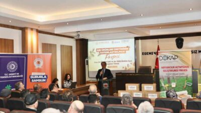 SAMSUN (İHA) – Samsun Büyükşehir Belediyesi (SBB), Samsun İlinde Arı