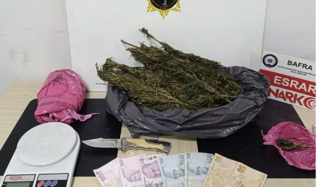 Samsun’da 4 ilçede düzenlenen narkotik uygulamalarında çok miktarda uyuşturucu madde