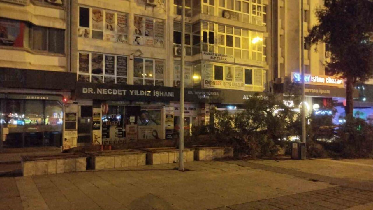Samsun’da fırtına nedeniyle Cumhuriyet Meydanı’ndaki çam ağacı kökünden yıkıldı. Meteoroloji