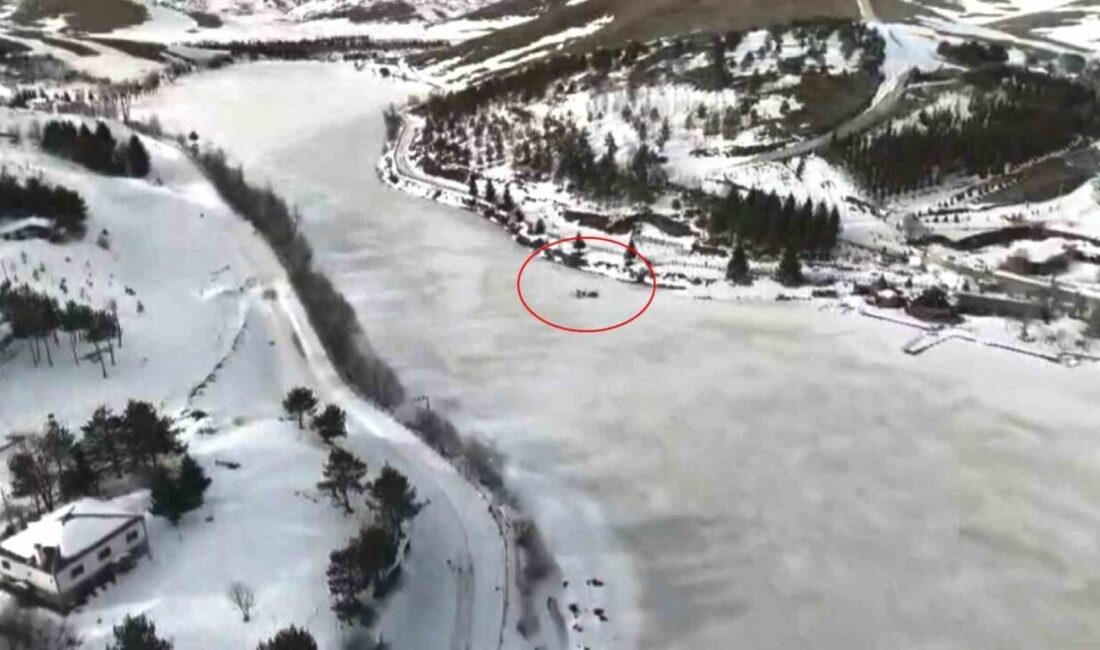 SAMSUN (İHA) – Samsun’da doğa fotoğrafçısı doktor, kamp yaptığı yayladaki