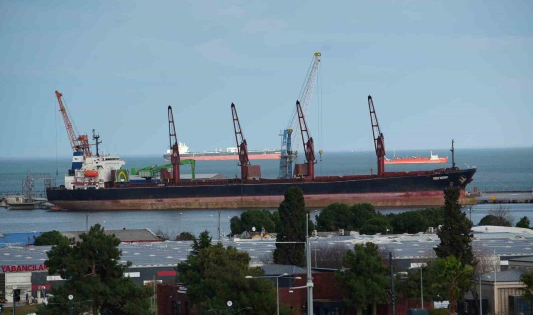 Türkiye İstatistik Kurumu (TÜİK) verilerine göre, 2025 yılı Aralık ayında