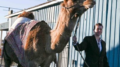 ABD ’de hayatini kaybeden sanatçı Mertcan Türkoğlu, son eseri olan