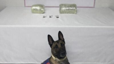 Şanlıurfa’da satışa hazır paketlenmiş halde 2 kilogram kubar esrar ele