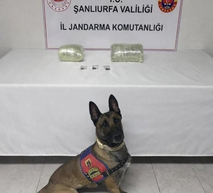 Şanlıurfa’da satışa hazır paketlenmiş halde 2 kilogram kubar esrar ele