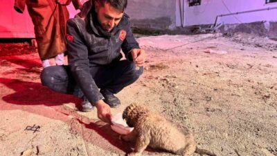 Şanlıurfa’da 20 metre derinliğindeki sondaj kuyusuna düşen yavru köpek, itfaiye