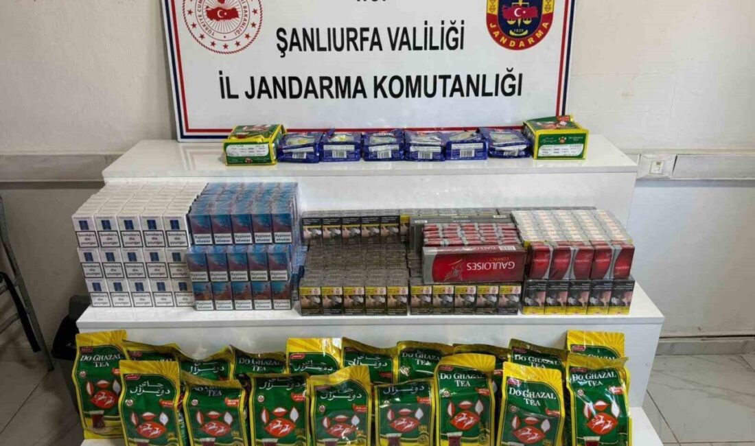 Şanlıurfa’nın Viranşehir ilçesinde 6 bin 180 paket gümrük kaçağı sigara