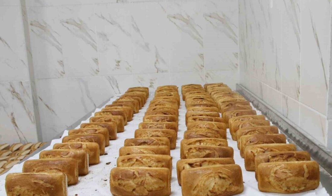 Haliliye Belediyesi Sosyal Yardım İşleri Müdürlüğü bünyesinde yürütülen çalışmalar kapsamında,