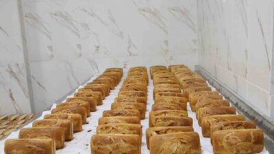 Haliliye Belediyesi Sosyal Yardım İşleri Müdürlüğü bünyesinde yürütülen çalışmalar kapsamında,