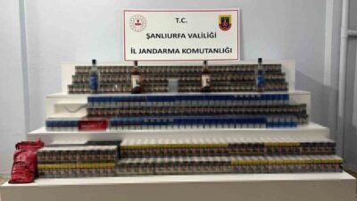 Şanlıurfa’nın Viranşehir ilçesinde jandarma ekipleri tarafından yapılan çalışmalarda çok sayıda