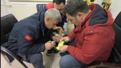 Şanlıurfa’nın Haliliye ilçesinde papağanın ayağına sıkışan halhal, itfaiye ekiplerinin titiz