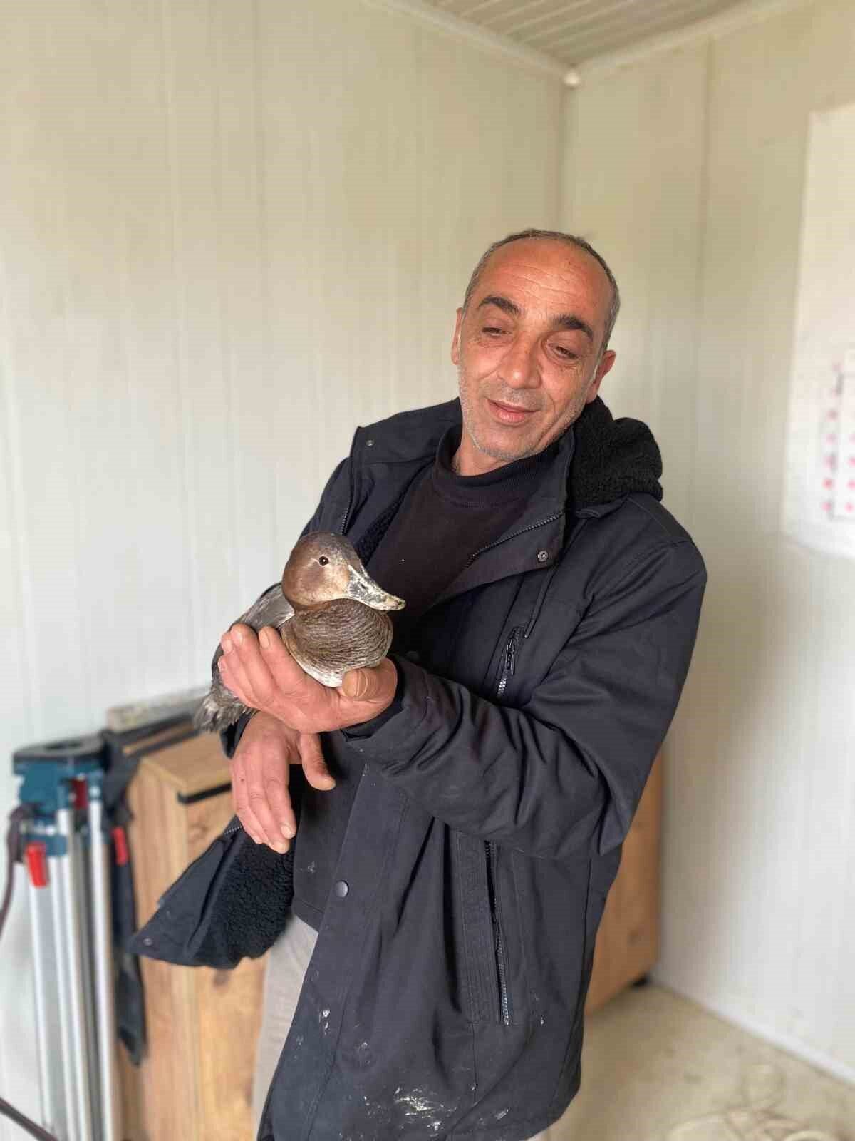 Kastamonu’nun Çatalzeytin ilçesinde şantiyede çalışan işçi, yaralı halde bulduğu yabani