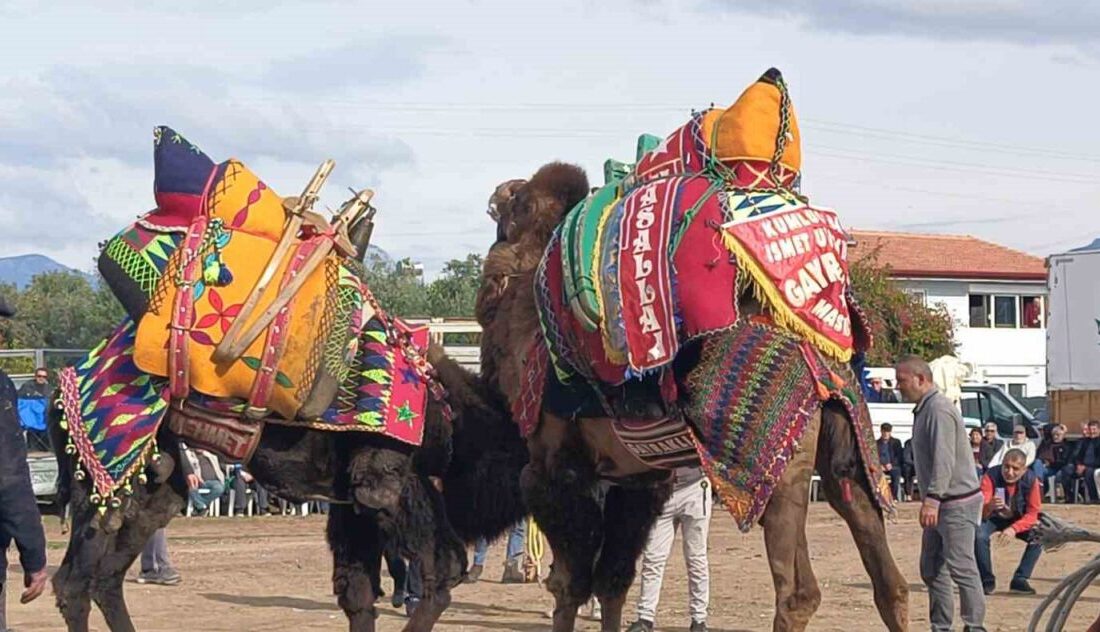 Ülke genelinde yaşanan şap hastalığı nedeniyle şehirlerarası hayvan taşımacılığının Tarım