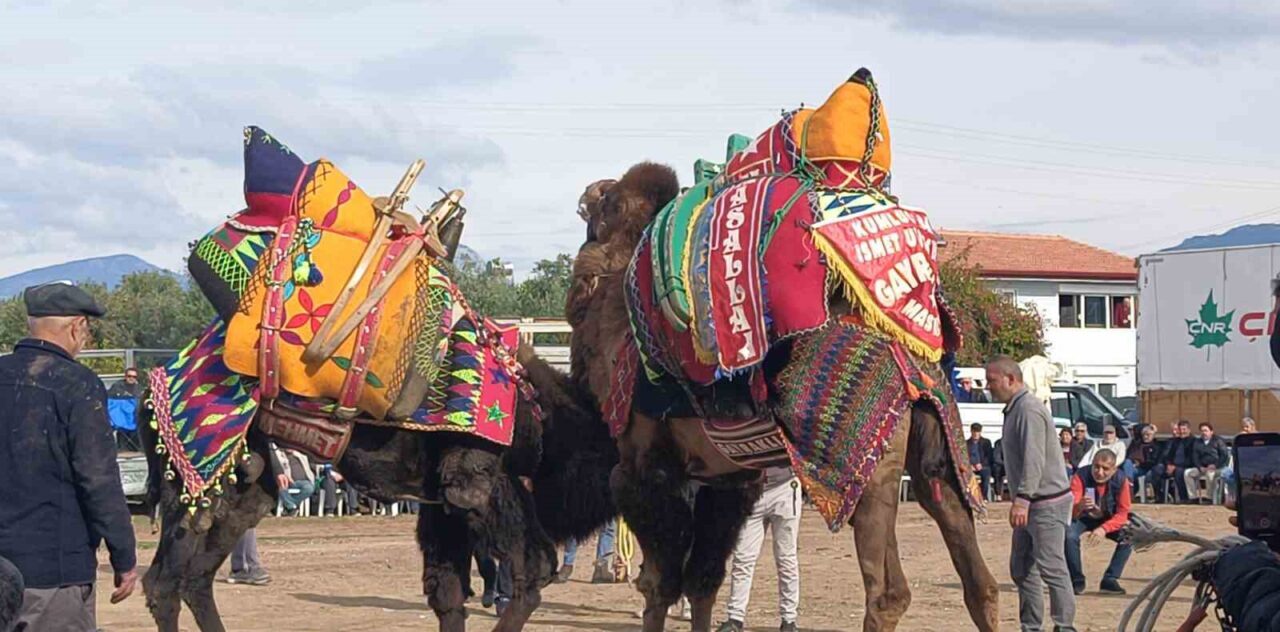 Ülke genelinde yaşanan şap hastalığı nedeniyle şehirlerarası hayvan taşımacılığının Tarım