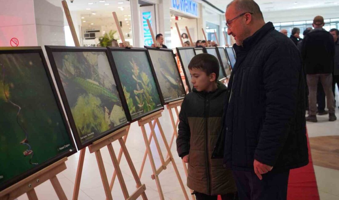 Sapanca Gölü’nün su altı fotoğraflarından oluşan ve Sakarya’dan Gazze’ye temalı