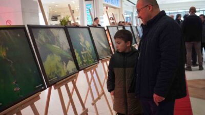 Sapanca Gölü’nün su altı fotoğraflarından oluşan ve Sakarya’dan Gazze’ye temalı
