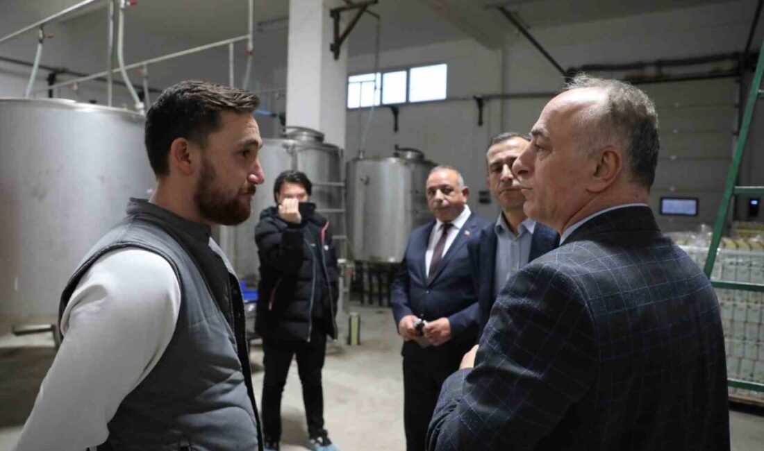 Eskişehir’in Sarıcaya ilçesinde geçen yıl 70 dekarlık alana 2 bin