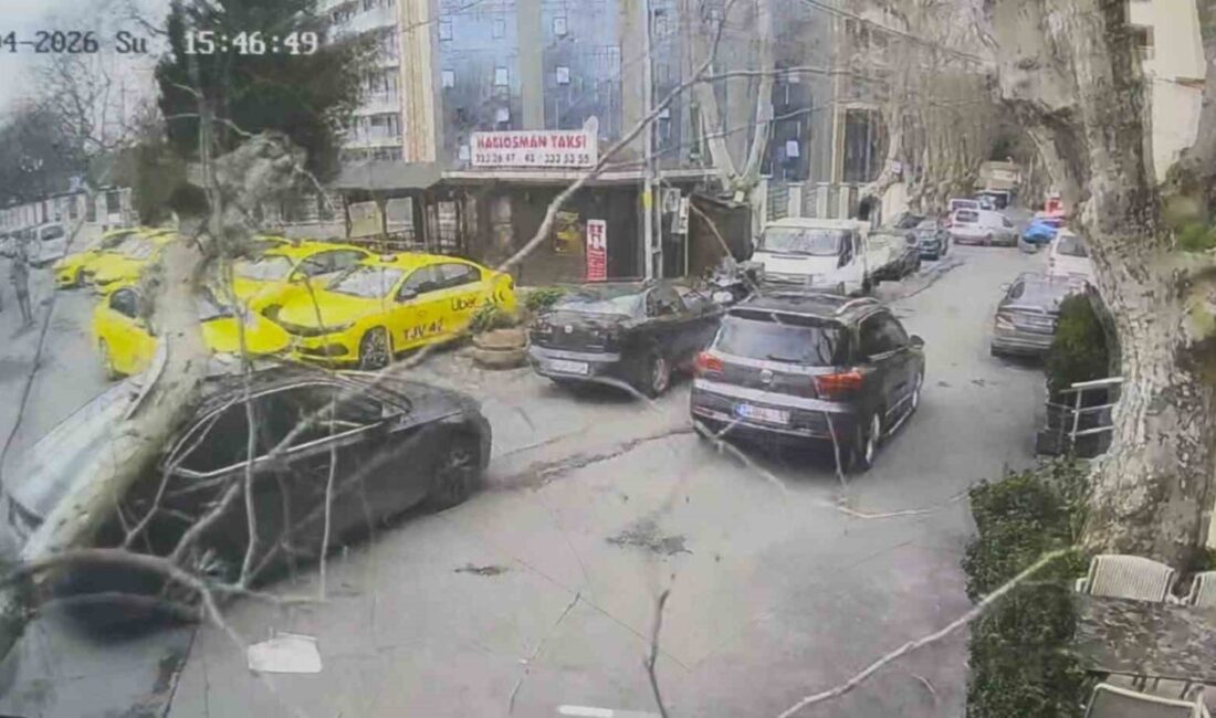 Sarıyer’de kuvvetli rüzgarın etkisiyle devrilen ağaç, park halindeki otomobilin üzerine