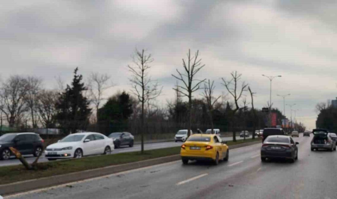 İstanbul Sarıyer’de kontrolden çıkan otomobil refüjü aşarak karşı şeritteki araçla