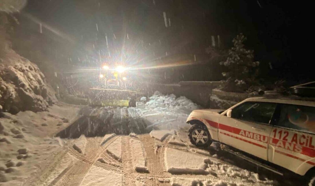 Batman’ın Sason ilçesinde etkili olan yoğun kar yağışı hayatı olumsuz