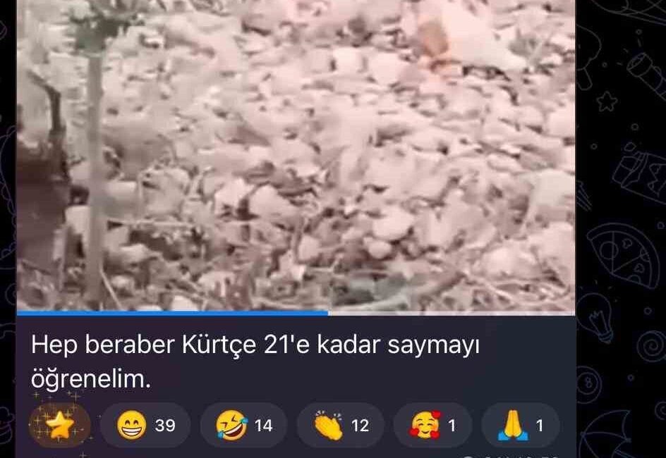 Suriye’nin Ayn el-Arab bölgesinde SDG’li teröristlerin, öldürdükleri sivillerin cenazelerini kayda