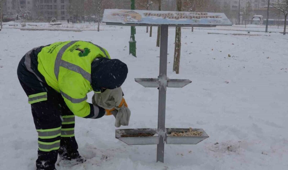 Gaziantep genelinde etkili olan yoğun kar yağışı ve soğuk hava
