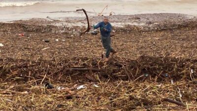 Mersin’de yaşanan sel afetinin ardından coşan derelerin aktığı Akdeniz’de kahverengiye