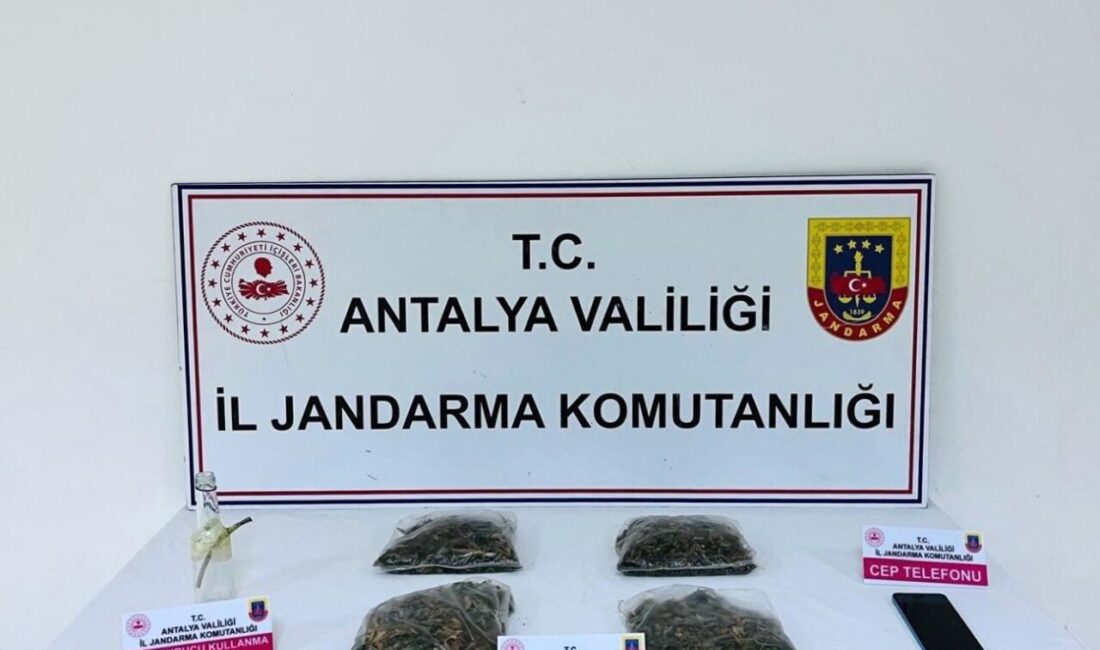 Antalya’nın Serik ilçesinde jandarma ekiplerince düzenlenen operasyonda bir şüphelinin evinde