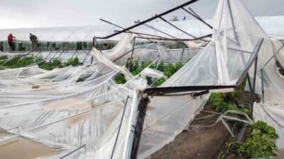 26 Ocak 2026 tarihinde Muğla’nın Seydikemer ilçesinde etkili olan dolu