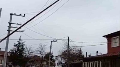 Eskişehir’in Seyitgazi ilçesinde fırtınanın etkisiyle devrilen 30 metrelik bayrak direği,